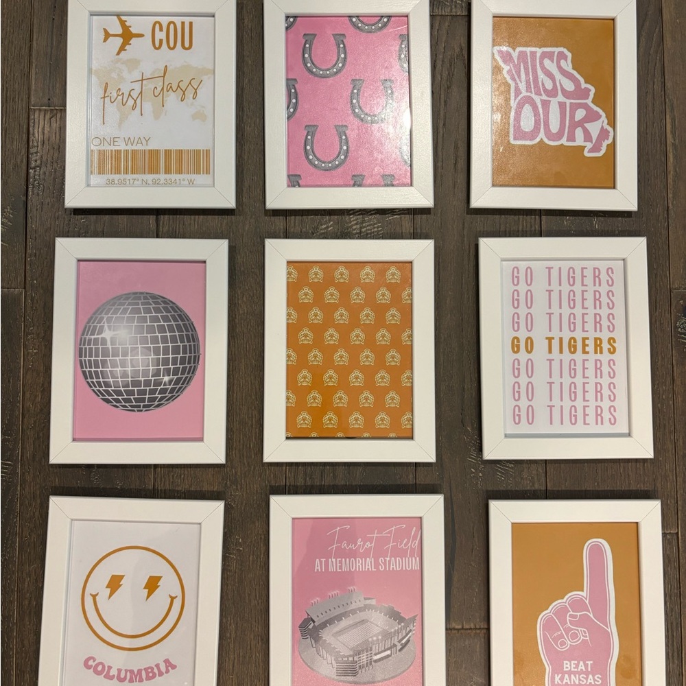 IKEA framed Mizzou Pink and Gold Art Collegiate Prints